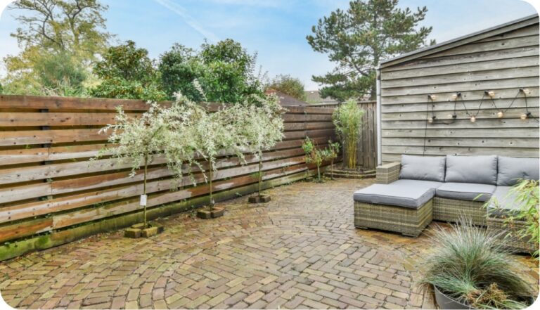 patio trasero con arboles en maceta